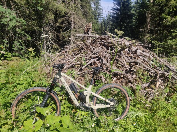 Bike Simplon Rapcon TQ vor Holzhaufen im Wald
